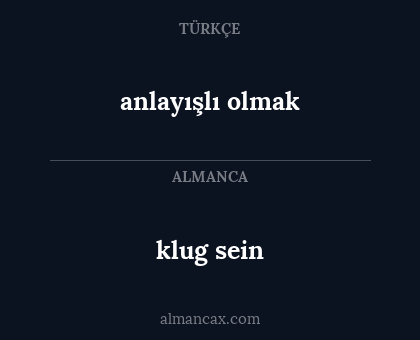 anlayışlı olmak - klug sein