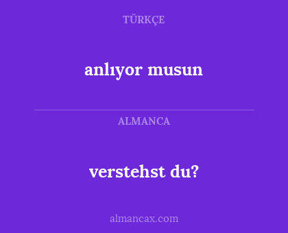 verstehst du? - anlıyor musun