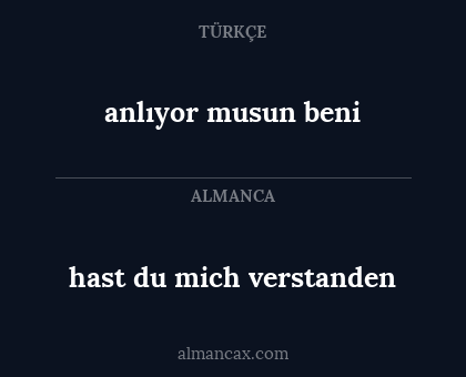 hast du mich verstanden - anlıyor musun beni