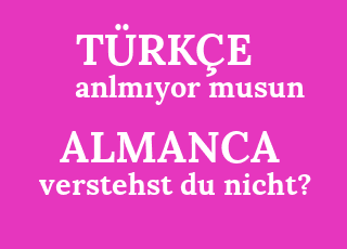 anlm%C4%B1yor+musun-verstehst+du+nicht%3F.png