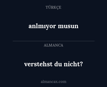 anlmıyor musun - verstehst du nicht?