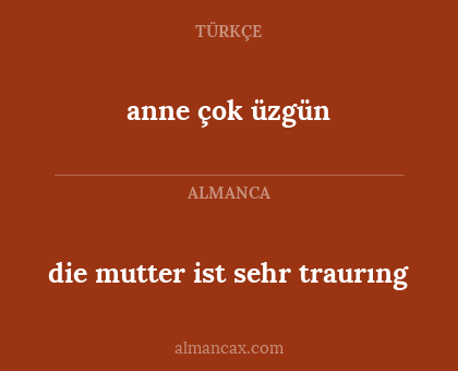 die mutter ist sehr traurıng - anne çok üzgün