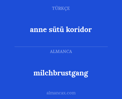 milchbrustgang - anne sütü koridor