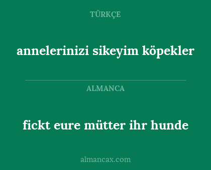fickt eure mütter ihr hunde - annelerinizi sikeyim köpekler