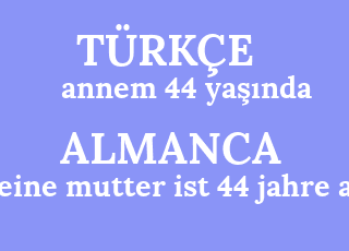 annem+44+ya%C5%9F%C4%B1nda-meine+mutter+ist+44+jahre+alt.png