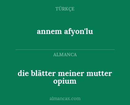 die blätter meiner mutter opium - annem afyon'lu