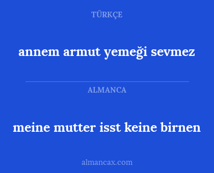 annem armut yemeği sevmez - meine mutter isst keine birnen