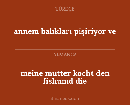 meine mutter kocht den fishumd die - annem balıkları pişiriyor ve
