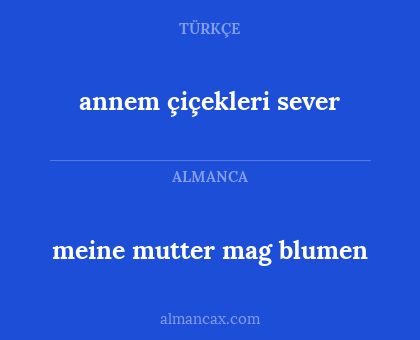 annem çiçekleri sever - meine mutter mag blumen