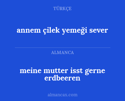 meine mutter isst gerne erdbeeren - annem çilek yemeği sever