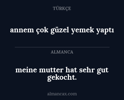 meine mutter hat sehr gut gekocht. - annem çok güzel yemek yaptı