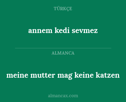 meine mutter mag keine katzen - annem kedi sevmez