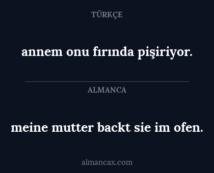 annem onu fırında pişiriyor. - meine mutter backt sie im ofen.