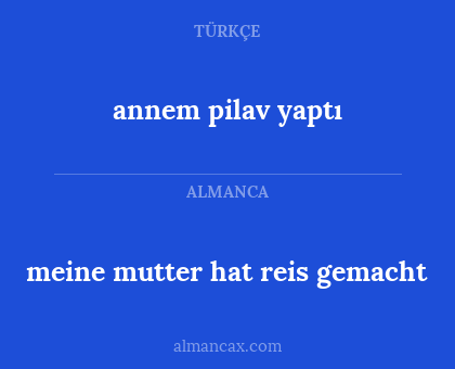annem pilav yaptı - meine mutter hat reis gemacht