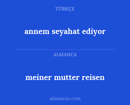 meiner mutter reisen - annem seyahat ediyor