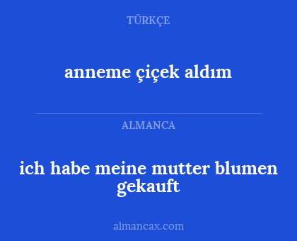 anneme çiçek aldım - ich habe meine mutter blumen gekauft