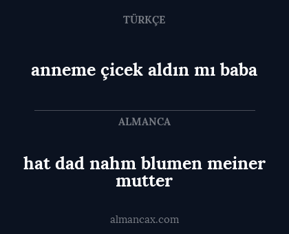 hat dad nahm blumen meiner mutter - anneme çicek aldın mı baba