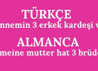 annemin+3+erkek+karde%C5%9Fi+var-meine+mutter+hat+3+br%C3%BCder.png