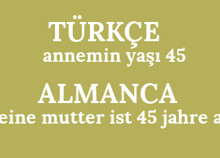 annemin+ya%C5%9F%C4%B1+45-meine+mutter+ist+45+jahre+alt.png