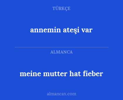 annemin ateşi var - meine mutter hat fieber