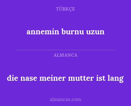 annemin burnu uzun - die nase meiner mutter ist lang