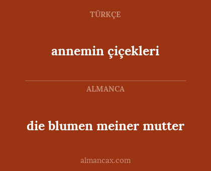 annemin çiçekleri - die blumen meiner mutter