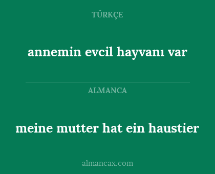 annemin evcil hayvanı var - meine mutter hat ein haustier