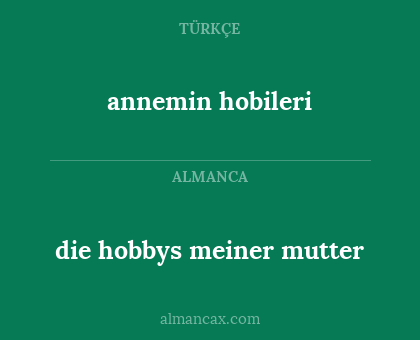 die hobbys meiner mutter - annemin hobileri