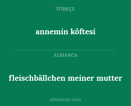 fleischbällchen meiner mutter - annemin köftesi