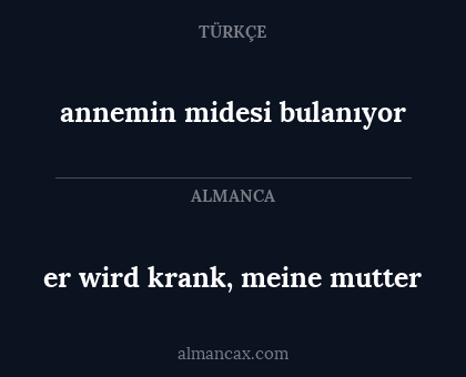 er wird krank, meine mutter - annemin midesi bulanıyor