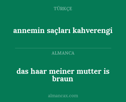annemin saçları kahverengi - das haar meiner mutter is braun