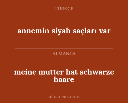 annemin siyah saçları var - meine mutter hat schwarze haare