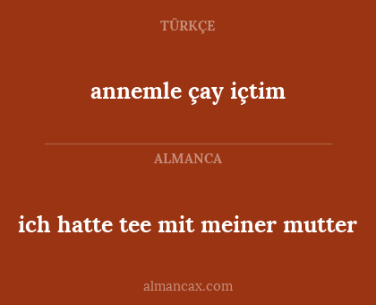 ich hatte tee mit meiner mutter - annemle çay içtim