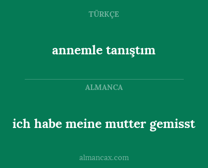 ich habe meine mutter gemisst - annemle tanıştım