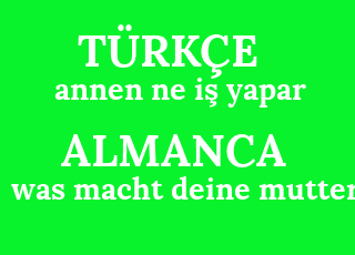 annen+ne+i%C5%9F+yapar-was+macht+deine+mutter%3F.png