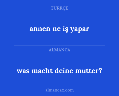 annen ne iş yapar - was macht deine mutter?