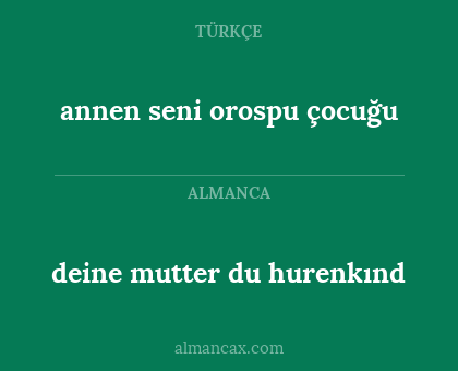 deine mutter du hurenkınd - annen seni orospu çocuğu