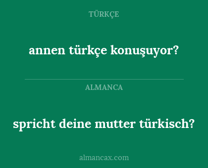 annen türkçe konuşuyor? - spricht deine mutter türkisch?