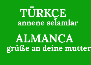 annene+selamlar-gr%C3%BC%C3%9Fe+an+deine+mutter.png
