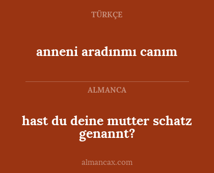 hast du deine mutter schatz genannt? - anneni aradınmı canım