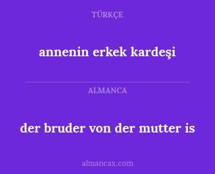 annenin erkek kardeşi - der bruder von der mutter is