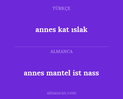 annes kat ıslak - annes mantel ist nass