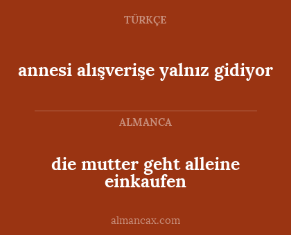 die mutter geht alleine einkaufen - annesi alışverişe yalnız gidiyor