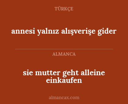 sie mutter geht alleine einkaufen - annesi yalnız alışverişe gider