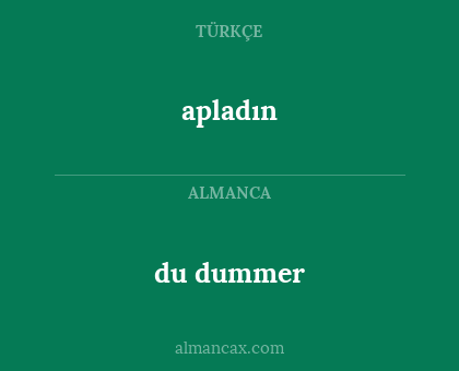 apladın - du dummer