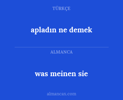 apladın ne demek - was meinen sie