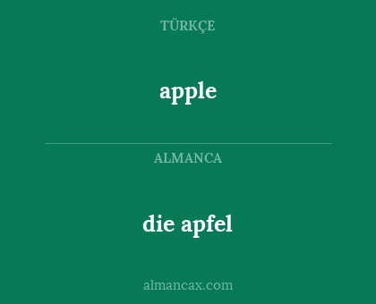 apple - die apfel