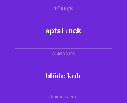 blöde kuh - aptal inek
