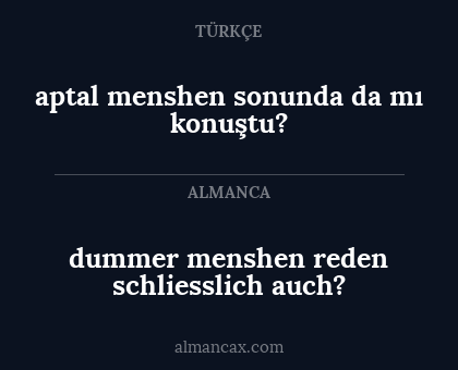 dummer menshen reden schliesslich auch? - aptal menshen sonunda da mı konuştu?