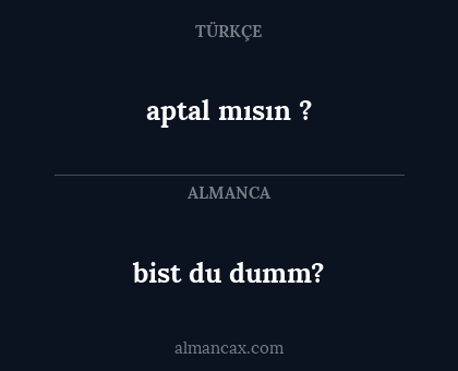 bist du dumm? - aptal mısın ?